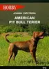 Zarzynska, J: American pit bull terier Náhľad obrázku produktu 2