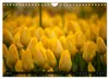 Tulpen (Wandkalender 2027 DIN A4 quer), CALVENDO Produktbild-Vorschau 9