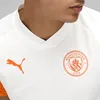 Puma Manchester City Fc 23/24 Training Kurzarm-t-shirt Produktbild-Vorschau 4