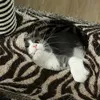 PawHut Kratzbaum, Katzenbaum im Zebra-Design, Produktbild-Vorschau 9