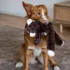 Nobby Hundespielzeug Plüsch Affe, Maße: 43 cm Produktbild-Vorschau 3