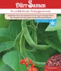 Prunkbohne Preisgewinner | Prunkbohnensamen von Dürr Samen Produktbild-Vorschau 1