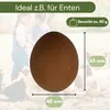 6x Legeeier Kunsteier Nesteier für Hühner Gipseier Bruteier Produktbild-Vorschau 2