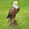 Dekofigur Gartenfigur Weißkopfseeadler Produktbild-Vorschau 5