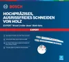 Set di lame per seghetto alternativo Bosch Professional Anteprima dell’immagine prodotto 18