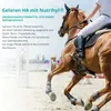 A horse and rider jumping over an obstacle in an equestrian event. Anteprima dell’immagine prodotto
