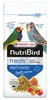 NutriBird Frutti Patee - 1 kg Náhľad obrázku produktu 4