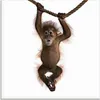 ARTland Glasbild Baby Orang Utan hängt an Seil II Größe: Produktbild-Vorschau 1