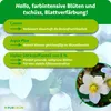Purgrün Christrose-Dünger 1 Liter, Produktbild-Vorschau 3