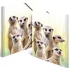 Sammelmappe A4 PP Erdmännchentruppe Packung mit 3 Stück Produktbild-Vorschau 5