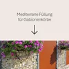 Schicker Mineral-Kalk Gabionensteine beige-60-120mm Produktbild-Vorschau 2
