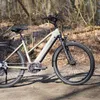 Prophete Entdecker 4.0 Trekking E-Bike 28 Zoll - 600 Wh - Produktbild-Vorschau 9