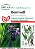 Artikelbild 1 von 'Beinwell' aus der Kategorie Kräutersamen Podgląd zdjęcia produktu