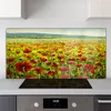 Coloray Küchenrückwand 140x70 Spritzschutz aus Glas - Produktbild-Vorschau 2