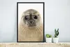 MuchoWow® Gerahmtes Poster Jungen - Robbe - Kinder - Produktbild-Vorschau 5