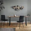 A dining room scene with a table and chairs, decorated with wall art and plants. Náhled obrázku produktu