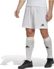 Kraťasy Adidas HG6295 pro Pánské Náhled obrázku produktu 5
