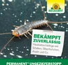 A close-up of a silverfish on a dark, speckled surface, with a white note overlay and a brand logo in the upper right corner. Produktbild-Vorschau