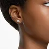 Swarovski Stilla Ohrstecker 5642595 Ohrringe Produktbild-Vorschau 4