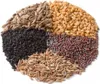 Panch Phoron Gewürzmischung - Ellis Gewürz Produktbild-Vorschau 2