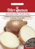 Dürr-Samen - Spanische Gemüsezwiebel Alisa Craig - Saatgut Produktbild-Vorschau 1