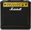 A front view of a Marshall guitar amplifier. Náhled obrázku produktu