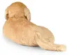Peluche Golden Retriever 36 Cm Ecologico Anteprima dell’immagine prodotto 3