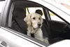 Car Seat Cover Karlie 130X70Cm Voir les images du produit 5