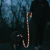 Guinzaglio e collare luminosi per cani – Guinzaglio per Anteprima dell’immagine prodotto 2