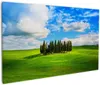 Wallario Premium Leinwandbild Kleiner Wald inmitten einer Produktbild-Vorschau 1