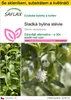 SAFLAX Kultivační sada - Sladká bylina stévie - Stevia Náhled obrázku produktu 1