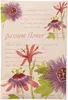 Willowbrook Fresh Scents -Duftsachet - Passion Flower Produktbild-Vorschau 1