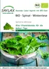Artikelbild 1 von 'BIO Spinat Winterriese' aus der Kategorie Spinatsamen Voir les images du produit