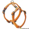 Karlie Art Sportiv Plus Geschirr, orange, 20mm, 45-70cm Produktbild-Vorschau 8