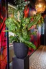 A large potted plant with green and yellow variegated leaves sits on a black pedestal in a hallway with colorful, abstract art on the walls and a patterned floor. Produktbild-Vorschau