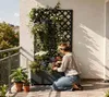 Jardinière Westmann Dekora 7 en métal avec treillis, Voir les images du produit 3