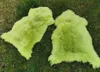 Top Öko Lammfell Schaffell Felle Green Apple Grün Apfelgrün Produktbild-Vorschau 2
