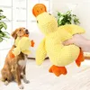 Hundespielzeug Plüsch mit Quietscher, robust und Produktbild-Vorschau 4