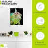 ARTland Wandbild, selbstklebend Yemen Chamäleon Größe: Produktbild-Vorschau 3