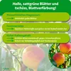 Purgrün -Pfirsichbaum-Dünger 1 kg, Produktbild-Vorschau 3