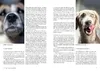 Dem Geruch auf der Spur Produktbild-Vorschau 7