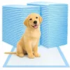 Ekspand | Tappetini igienici per cani - Blu - 60x90 cm - 50 Anteprima dell’immagine prodotto 1