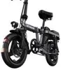 ENGWE T14 EU Elektrofahrrad: 250W Motor, 480WH Batterie, Produktbild-Vorschau 1