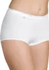 sloggi Damen Maxislip 3-Pack Basic+ - WHITE - Größe 42 Produktbild-Vorschau 2