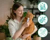 Przysmak dla kotów – Lick & Purr: Creamy Tuna Moments Podgląd zdjęcia produktu 5