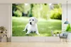 MuchoWow® Fototapete für Wohnzimmer oder Schlafzimmer Produktbild-Vorschau 4