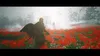 Ghost of Tsushima (Director’s Cut) Produktbild-Vorschau 4