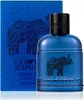 FOREST TRIBE Herren Eau de Parfum Produktbild-Vorschau 3