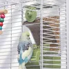 Automatischer Vogelfutterspender mit Sitzstange – für Produktbild-Vorschau 5