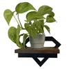 A potted plant sits on a wooden shelf with black metal brackets. Produktbild-Vorschau